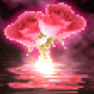 Meet your Posher, Rosa